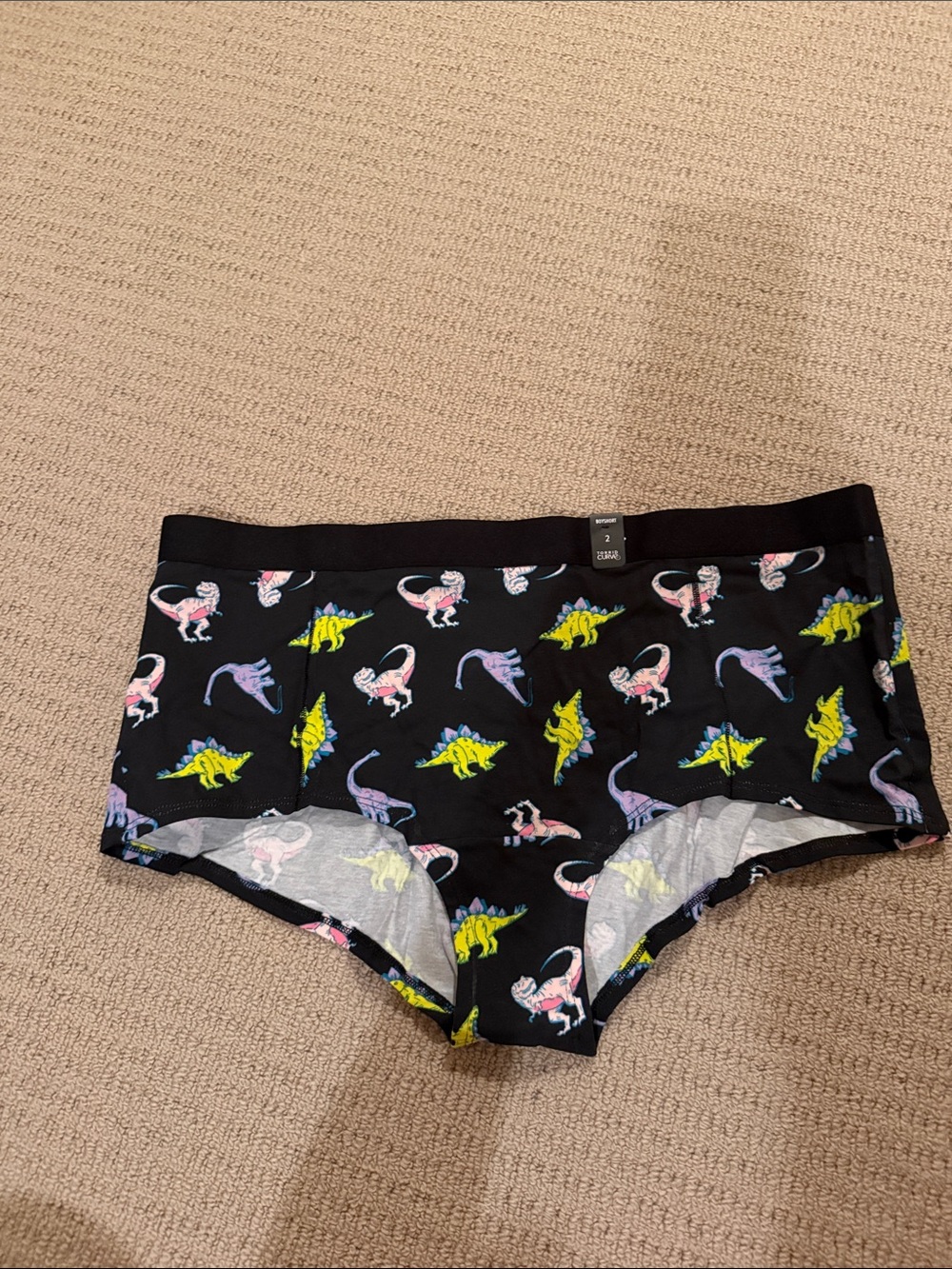 Torrid Black Dinosaur Print Boyshorts